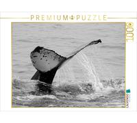 CALVENDO Puzzle Je suis Alors Parti ; Baleine à Bosse, Antarctique 1000 pièces Taille de la Pose 64 x 48 cm Photo Puzzle Image de Rolf Skrypzak
