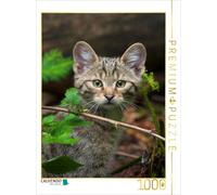 CALVENDO Puzzle Jeune Chat Sauvage européen 1000 Pieces 48 x 64 cm from Christina Krutz