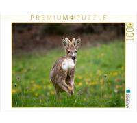 Puzzle CALVENDO Jeune chevreuil | 1000 pièces, format assemblé 64 × 48 cm | Puzz