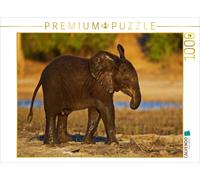 CALVENDO Puzzle Jeune éléphant au Botswana 1000 Pieces 64 x 48 cm from Wibke Woyke