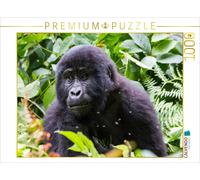 CALVENDO Puzzle Gorille de Montagne juvénile 1000 Pieces 64 x 48 cm from Hawkeyes-Pictures
