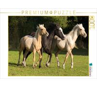CALVENDO Puzzle Colts 1000 Pieces 64 x 48 cm from Sirius13