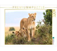 CALVENDO Puzzle Jeunes Talents 1000 Pieces 64 x 48 cm from Elmar Weiß