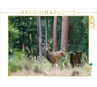 Puzzle CALVENDO Juillet: le jeune cerf se défoule dans les buissons de la forêt.