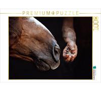 Puzzle CALVENDO La bouche d'un cheval embrasse un bébé oiseau | 1000 pièces, for