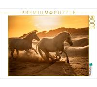 Puzzle CALVENDO La Camargue, paradis des chevaux : un troupeau de juments dans l
