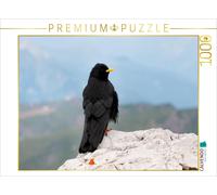 CALVENDO Puzzle Mouton des Alpes dans Les Dolomites 1000 Pieces 64 x 48 cm from Georg Niederkofler