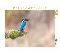 Puzzle CALVENDO La chute d'Eisvogel | 1000 pièces, format assemblé 64 × 48 cm |