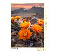 Puzzle CALVENDO La couleur des fleurs du soleil : des cactus orange | 1000 pièce