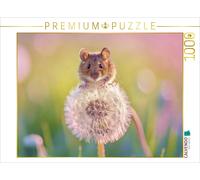 Puzzle CALVENDO La faune au milieu des champs - plus proche que tu ne le penses.