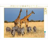 Puzzle CALVENDO La faune de la savane | 1000 pièces, format assemblé 64 × 48 cm