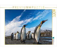 CALVENDO Puzzle Marche Pingouin 1000 Pieces 64 x 48 cm from Mehmet Sarialtin