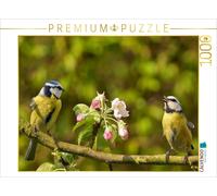 CALVENDO Puzzle Mélodie printanière de la mésange Bleue 1000 Pieces 64 x 48 cm from Lutz Klapp