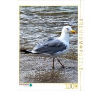 CALVENDO Puzzle La Mouette Marche dans la mer 1000 Pieces 48 x 64 cm from Andrea Dreegmeyer