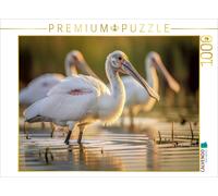 Puzzle CALVENDO La spatule blanche - parce que l'ordinaire, c'est ennuyeux. | 10