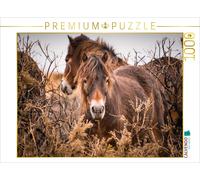 Puzzle CALVENDO La vie sauvage et rude des chevaux | 1000 pièces, format assembl