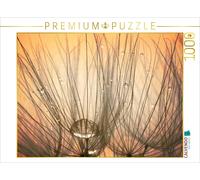 CALVENDO Puzzle Labyrinthes - Chute des graines de Parachute 1000 Pieces 64 x 48 cm from bild-erzaehler