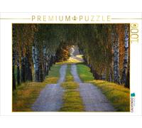 Puzzle CALVENDO L'allée des bouleaux | 1000 pièces, format assemblé 64 × 48 cm |