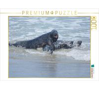 Puzzle CALVENDO L'amour des phoques | 1000 pièces, format assemblé 64 × 48 cm |