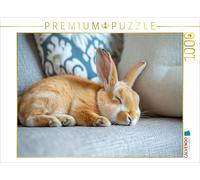 Puzzle CALVENDO Lapin couché sur le canapé pendant son sommeil | 1000 pièces, fo
