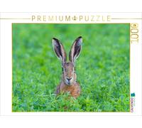 Puzzle CALVENDO Lapin de champ dans la nature | 1000 pièces, format assemblé 64
