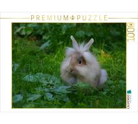 Puzzle CALVENDO Lapin nain à poil long | 1000 pièces, format assemblé 64 × 48 cm