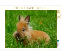 Puzzle CALVENDO Lapin nain à tête de lion | 1000 pièces, format assemblé 64 × 48