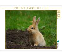 Puzzle CALVENDO Lapin nain brun | 1000 pièces, format assemblé 64 × 48 cm | Puzz