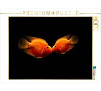 Puzzle CALVENDO Le baiser de deux poissons | 1000 pièces, format assemblé 64 × 4