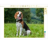 CALVENDO Puzzle The Perfect Dog: The Beagle | 1000 pieces, finished size 25.2 ×