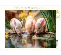 Puzzle CALVENDO Le bonheur des porcelets | 1000 pièces, format assemblé 64 × 48