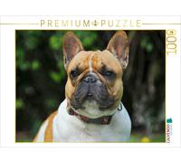 CALVENDO Puzzle Bouledogue français - Un ami pour la Vie 1000 Pieces 64 x 48 cm from Sista-Tierfoto