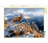 Puzzle CALVENDO Le bouquetin dans les Alpes | 1000 pièces, format assemblé 64 ×