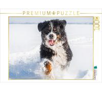 Puzzle CALVENDO Le bouvier bernois dans son élément | 1000 pièces, format assemb