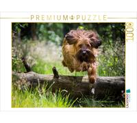 CALVENDO Puzzle Briard en Action 1000 Pieces 64 x 48 cm from Sonja Teßen