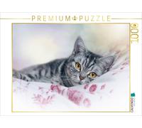 Puzzle CALVENDO Le British Shorthair : des chats à tomber amoureux | 1000 pièces
