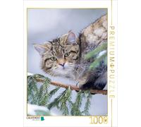 CALVENDO Puzzle Chat Sauvage européen en Hiver 1000 Pieces 48 x 64 cm from Christina Krutz