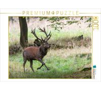 Puzzle · Le Chef de Meute Chasse Ses rivaux avec Agitation | 1000 pièces · Format assemblé 64 × 48 cm · CALVENDO Puzzle