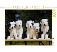 CALVENDO Puzzle Chien de rêve Bobtail - Un Adorable Petit Coquin 1000 Pieces 64 x 48 cm from Sista-Tierfoto