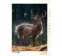 CALVENDO Puzzle Le Jeune cerf secoue l'humidité de l'automne de sa Fourrure. 1000 Pieces 48 x 64 cm from Ingo Gerlach