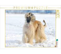 CALVENDO Puzzle Chien Afghan - Une beauté Gracieuse 1000 Pieces 64 x 48 cm from Sista-Tierfoto