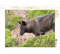 Puzzle CALVENDO Le loup gris | 1000 pièces, format assemblé 64 × 48 cm | Puzzle
