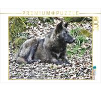 CALVENDO Puzzle Le Loup des Bois - Le Chasseur des Montagnes Rocheuses 1000 Pieces 64 x 48 cm from Arno Klatt