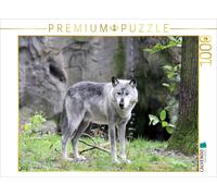 Puzzle CALVENDO Le loup gris - Le chasseur des Rocheuses | 1000 pièces, format a