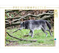 Puzzle CALVENDO Le loup gris - Le chasseur des Rocheuses | 1000 pièces, format a