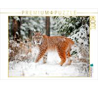 Puzzle CALVENDO Le lynx - Rencontre dans la forêt en hiver | 1000 pièces, format