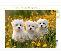 Puzzle CALVENDO Le maltais - Un trio qui fait craquer | 1000 pièces, format asse