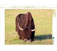 Puzzle CALVENDO Le mauvais garçon | 1000 pièces, format assemblé 64 × 48 cm | Pu