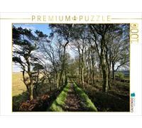 CALVENDO Puzzle Mur d'Hadrien, Cumbria, Lake District, Angleterre, 1000 pièces, Taille de la Pose 64 x 48 cm Photo Puzzle Image par Martina Cross