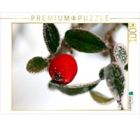 Puzzle CALVENDO Le néflier des rochers et le gel | 1000 pièces, format assemblé